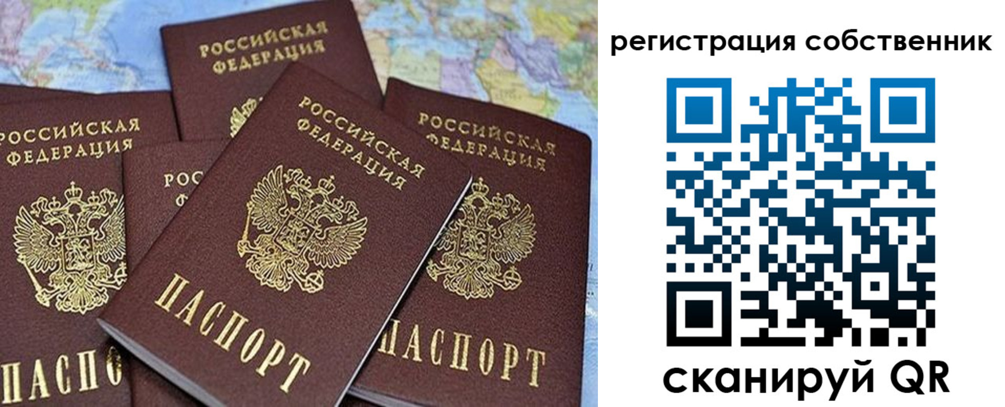 прописка для школы в Новоалександровске